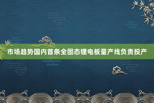 市场趋势国内首条全固态锂电板量产线负责投产