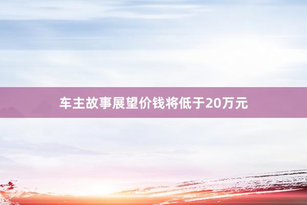 车主故事展望价钱将低于20万元