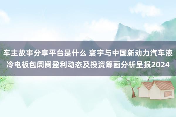 车主故事分享平台是什么 寰宇与中国新动力汽车液冷电板包阛阓盈利动态及投资筹画分析呈报2024