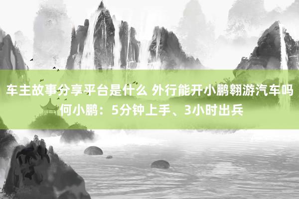 车主故事分享平台是什么 外行能开小鹏翱游汽车吗 何小鹏：5分钟上手、3小时出兵