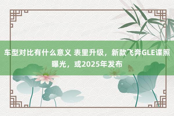 车型对比有什么意义 表里升级，新款飞奔GLE谍照曝光，或2025年发布