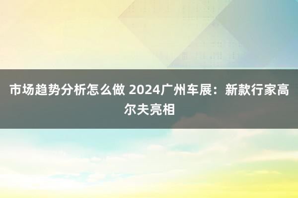 市场趋势分析怎么做 2024广州车展：新款行家高尔夫亮相