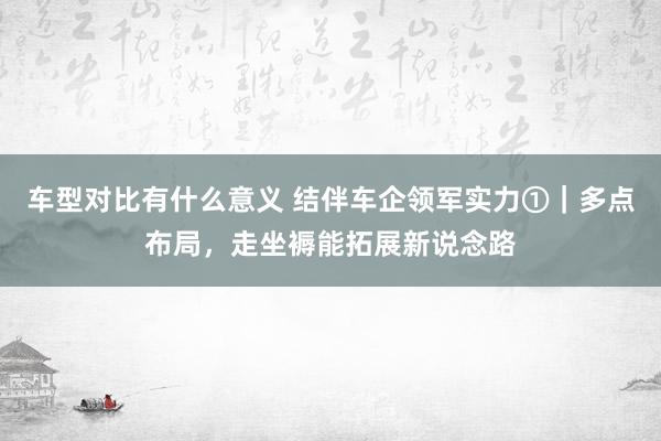 车型对比有什么意义 结伴车企领军实力①｜多点布局，走坐褥能拓展新说念路