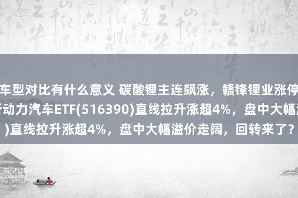 车型对比有什么意义 碳酸锂主连飙涨，赣锋锂业涨停、宁德时间涨3%，新动力汽车ETF(516390)直线拉升涨超4%，盘中大幅溢价走阔，回转来了？