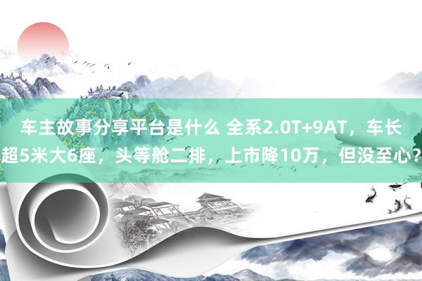 车主故事分享平台是什么 全系2.0T+9AT，车长超5米大6座，头等舱二排，上市降10万，但没至心？