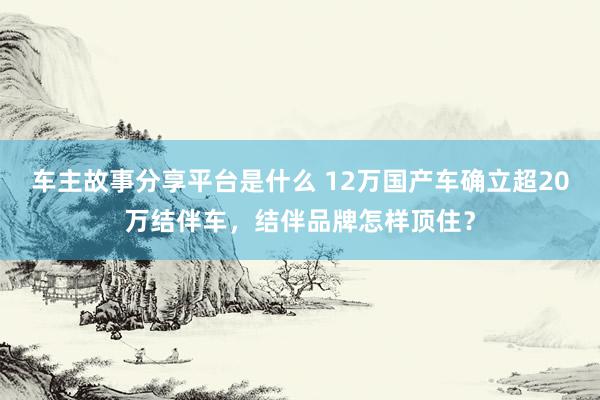 车主故事分享平台是什么 12万国产车确立超20万结伴车，结伴品牌怎样顶住？