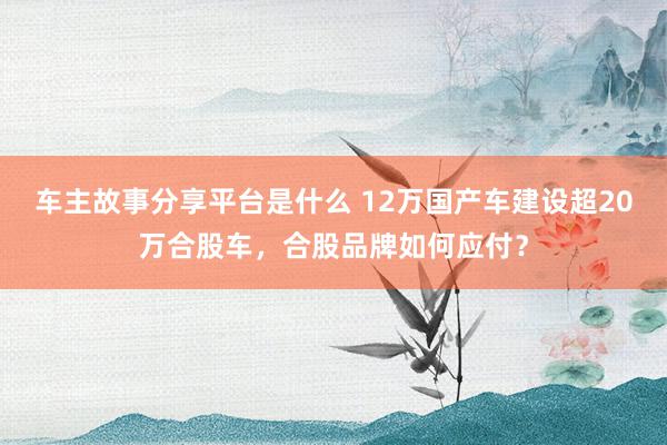 车主故事分享平台是什么 12万国产车建设超20万合股车，合股品牌如何应付？