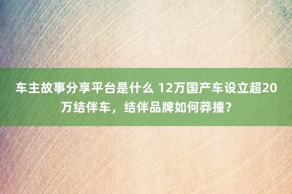 车主故事分享平台是什么 12万国产车设立超20万结伴车，结伴品牌如何莽撞？