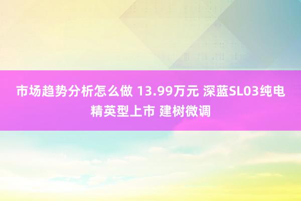 市场趋势分析怎么做 13.99万元 深蓝SL03纯电精英型上市 建树微调