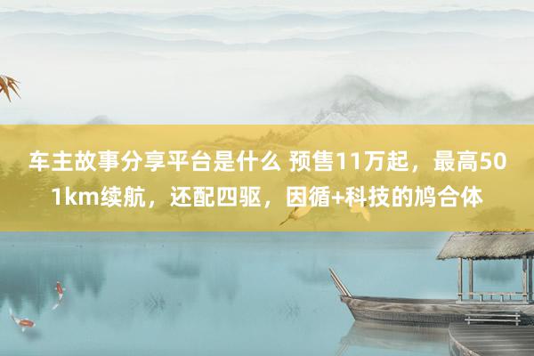 车主故事分享平台是什么 预售11万起，最高501km续航，还配四驱，因循+科技的鸠合体