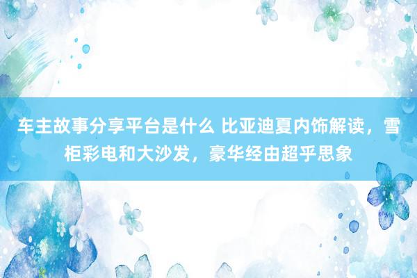 车主故事分享平台是什么 比亚迪夏内饰解读，雪柜彩电和大沙发，豪华经由超乎思象