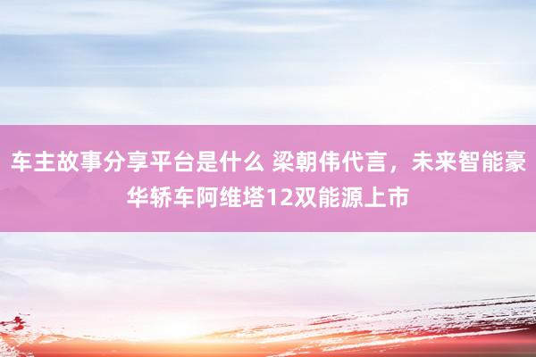 车主故事分享平台是什么 梁朝伟代言，未来智能豪华轿车阿维塔12双能源上市