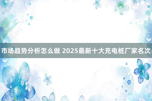 市场趋势分析怎么做 2025最新十大充电桩厂家名次