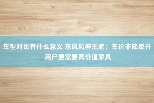 车型对比有什么意义 东风风神王鹏：车价非降反升 用户更需要高价值家具