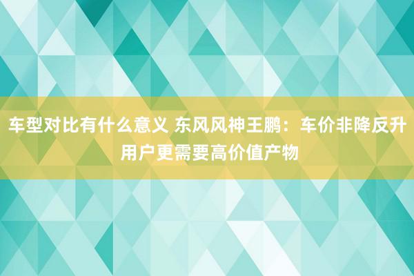 车型对比有什么意义 东风风神王鹏：车价非降反升 用户更需要高价值产物