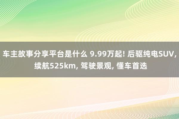 车主故事分享平台是什么 9.99万起! 后驱纯电SUV, 续航525km, 驾驶景观, 懂车首选