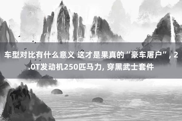 车型对比有什么意义 这才是果真的“豪车屠户”, 2.0T发动机250匹马力, 穿黑武士套件