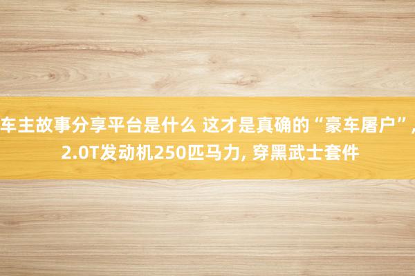 车主故事分享平台是什么 这才是真确的“豪车屠户”, 2.0T发动机250匹马力, 穿黑武士套件