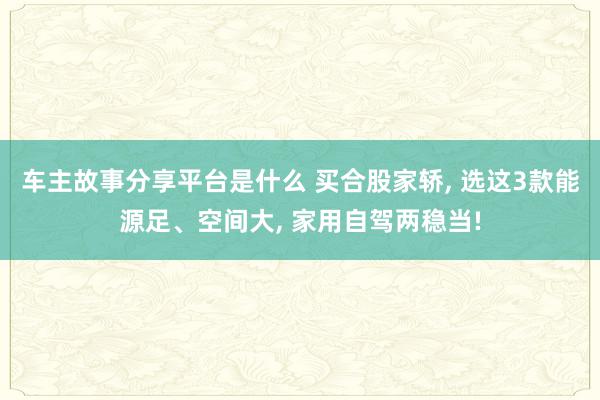 车主故事分享平台是什么 买合股家轿, 选这3款能源足、空间大, 家用自驾两稳当!