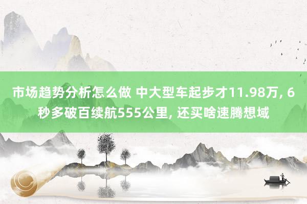 市场趋势分析怎么做 中大型车起步才11.98万, 6秒多破百续航555公里, 还买啥速腾想域