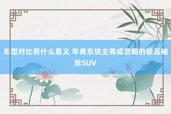 车型对比有什么意义 年青东谈主弗成忽略的极品袖珍SUV