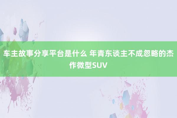 车主故事分享平台是什么 年青东谈主不成忽略的杰作微型SUV