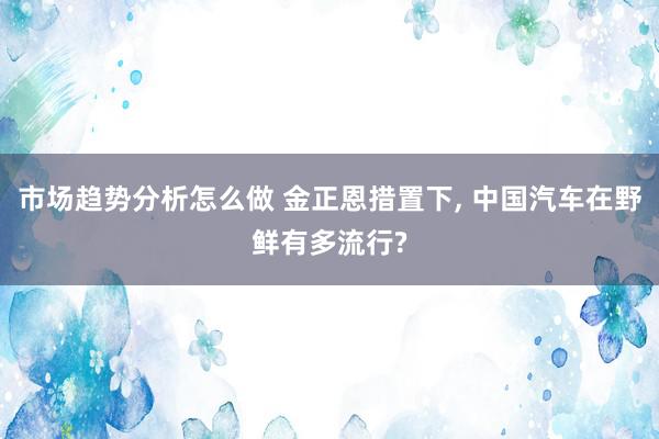 市场趋势分析怎么做 金正恩措置下, 中国汽车在野鲜有多流行?