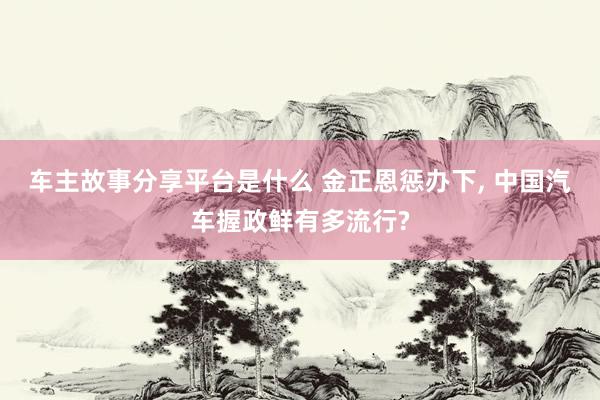 车主故事分享平台是什么 金正恩惩办下, 中国汽车握政鲜有多流行?