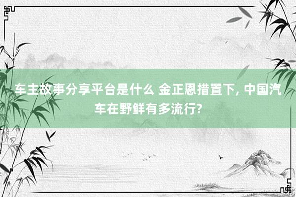 车主故事分享平台是什么 金正恩措置下, 中国汽车在野鲜有多流行?