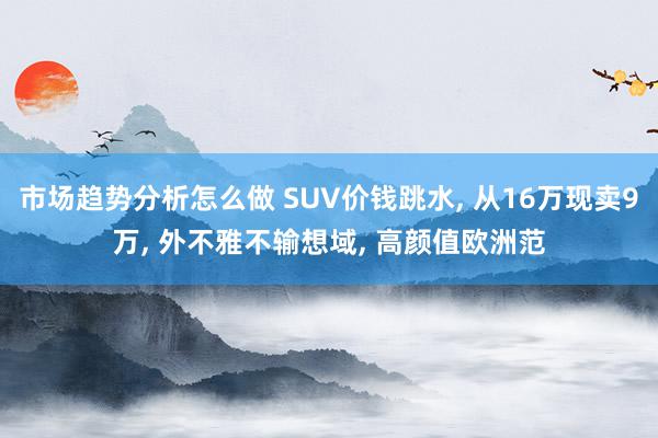 市场趋势分析怎么做 SUV价钱跳水, 从16万现卖9万, 外不雅不输想域, 高颜值欧洲范