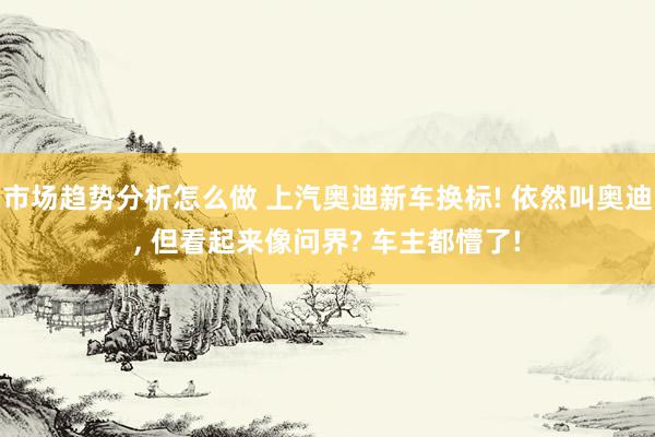 市场趋势分析怎么做 上汽奥迪新车换标! 依然叫奥迪, 但看起来像问界? 车主都懵了!