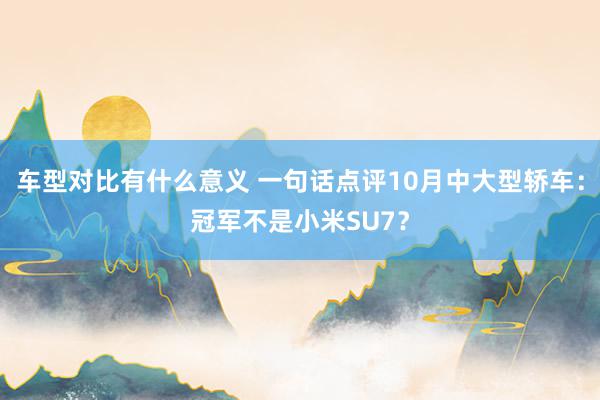 车型对比有什么意义 一句话点评10月中大型轿车：冠军不是小米SU7？