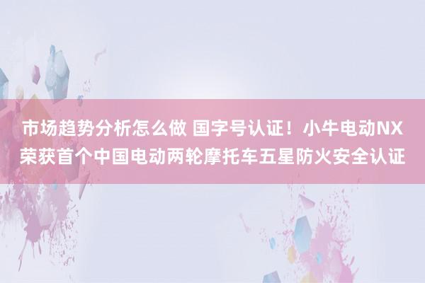 市场趋势分析怎么做 国字号认证！小牛电动NX荣获首个中国电动两轮摩托车五星防火安全认证