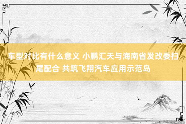 车型对比有什么意义 小鹏汇天与海南省发改委扫尾配合 共筑飞翔汽车应用示范岛