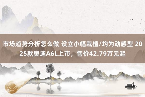 市场趋势分析怎么做 设立小幅栽植/均为动感型 2025款奥迪A6L上市，售价42.79万元起