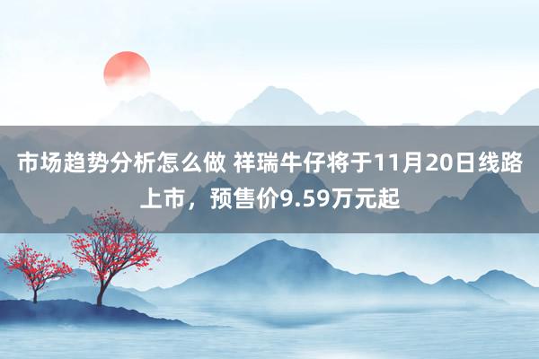 市场趋势分析怎么做 祥瑞牛仔将于11月20日线路上市，预售价9.59万元起