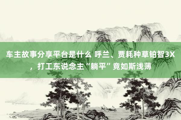 车主故事分享平台是什么 呼兰、贾耗种草铂智3X，打工东说念主“躺平”竟如斯浅薄