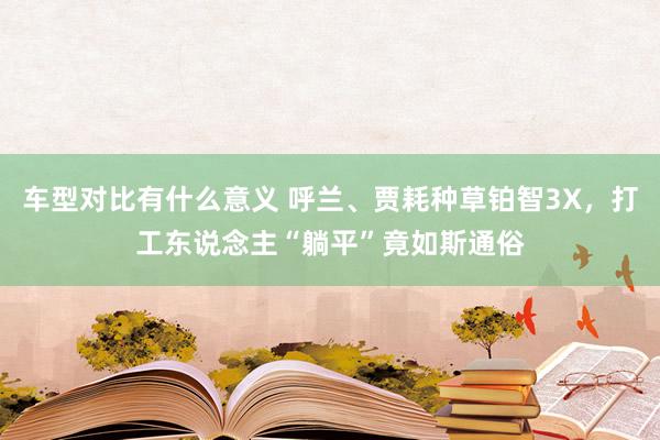 车型对比有什么意义 呼兰、贾耗种草铂智3X，打工东说念主“躺平”竟如斯通俗