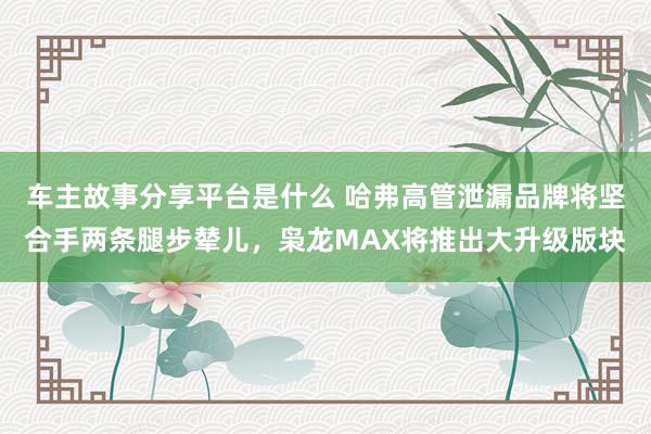 车主故事分享平台是什么 哈弗高管泄漏品牌将坚合手两条腿步辇儿，枭龙MAX将推出大升级版块