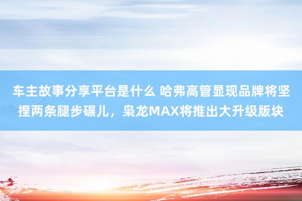 车主故事分享平台是什么 哈弗高管显现品牌将坚捏两条腿步碾儿，枭龙MAX将推出大升级版块